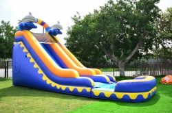 19' Dolphin Splash Water Slide